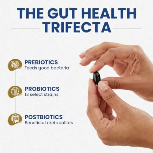 Essential Formulas Dr Ohhira's Probiotics 60 Capsules | Gut Health & Digestive Support thumbnail 5