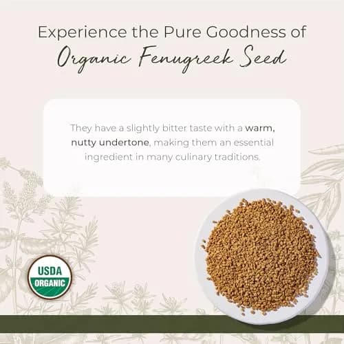 Starwest Botanicals Organic Whole Fenugreek Seeds 16 Ounce | Kosher & USDA Certified thumbnail 2