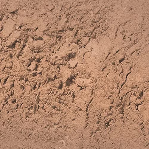 Palladio Brow Powder for Eyebrows | Soft & Natural with Jojoba & Shea, Compact Size for Travel, Includes Brush thumbnail 2