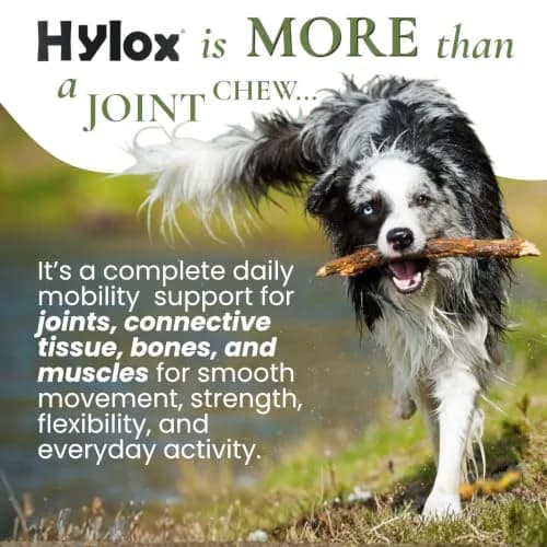 Hylox Soft Chews for Dogs – Joint Support with Glucosamine, MSM, Creatine, Hyaluronic Acid, Turmeric, EPA & DHA – Supports Joints & Cushions Connective Tissues – NASC Certified – 120 Soft Chews thumbnail 4