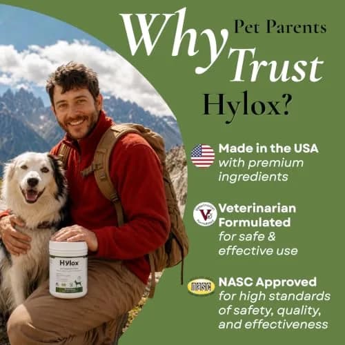 Hylox Soft Chews for Dogs – Joint Support with Glucosamine, MSM, Creatine, Hyaluronic Acid, Turmeric, EPA & DHA – Supports Joints & Cushions Connective Tissues – NASC Certified – 120 Soft Chews thumbnail 9