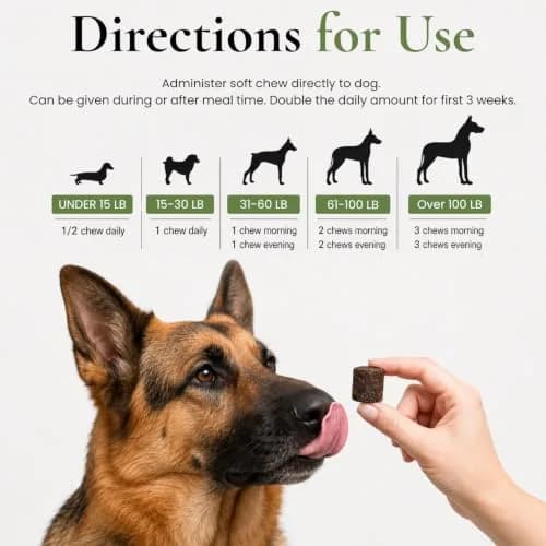 Hylox Soft Chews for Dogs – Joint Support with Glucosamine, MSM, Creatine, Hyaluronic Acid, Turmeric, EPA & DHA – Supports Joints & Cushions Connective Tissues – NASC Certified – 120 Soft Chews thumbnail 2