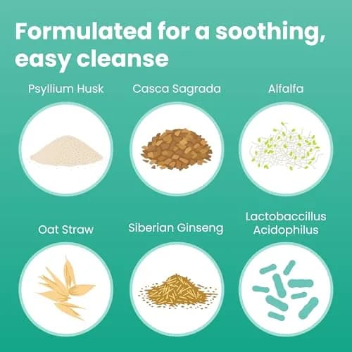 Sanar Naturals Colon Cleanse Psyllium Husk Fiber & Probiotics 90 Capsules | Digestive Wellness & Gut Balance thumbnail 4