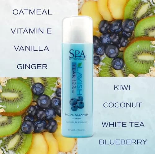 TropiClean SPA Blueberry Facial Shampoo Tear Stain Remover 237ml (8oz) | Gentle & Effective for Dogs thumbnail 4