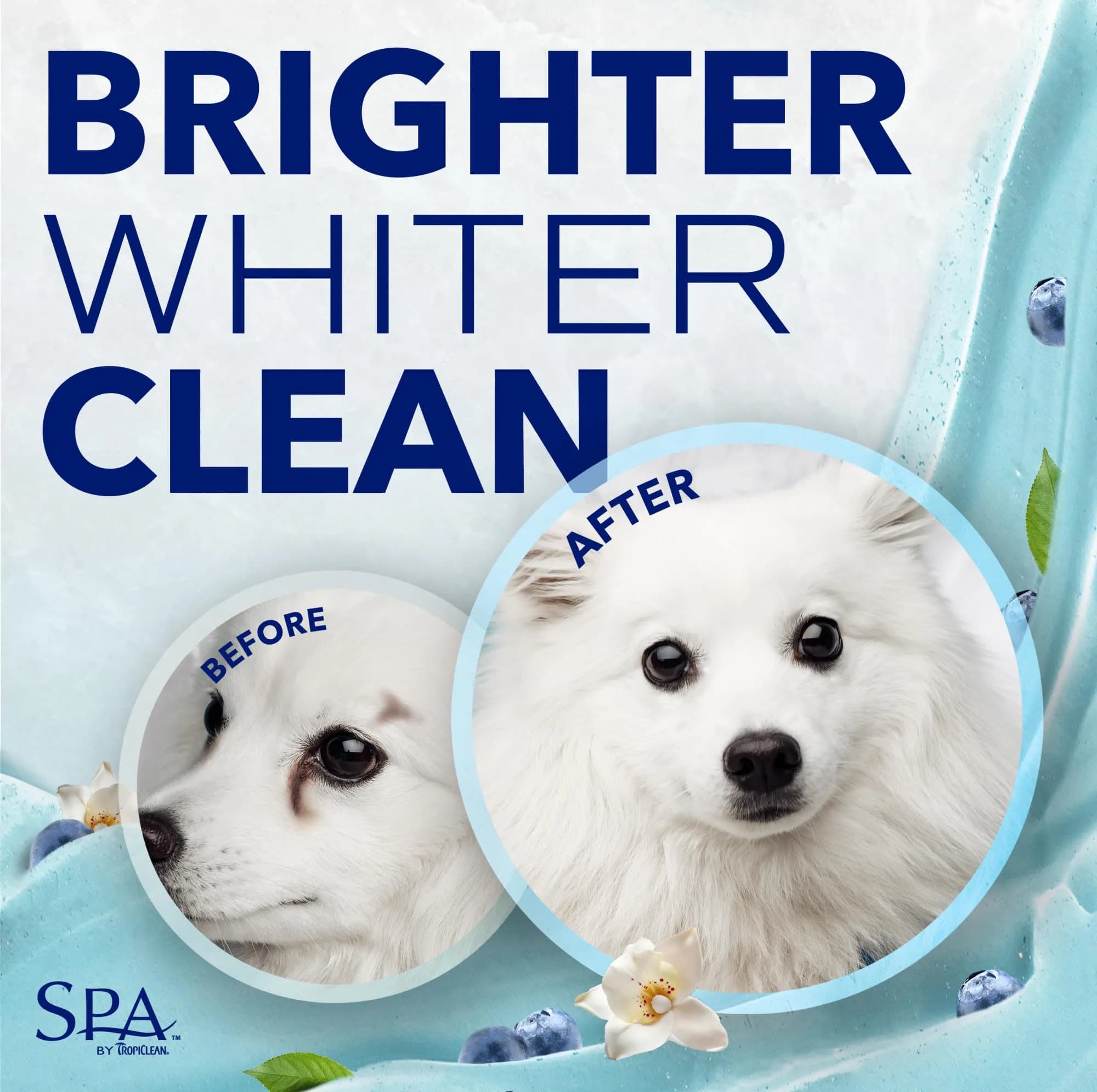 TropiClean SPA Blueberry Facial Shampoo Tear Stain Remover 237ml (8oz) | Gentle & Effective for Dogs - view 3