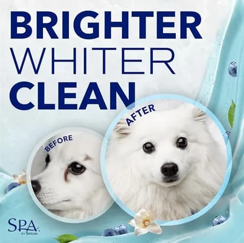 TropiClean SPA Blueberry Facial Shampoo Tear Stain Remover 237ml (8oz) | Gentle & Effective for Dogs thumbnail 3