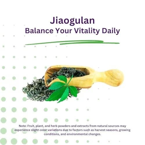 Paradise Herbs Jiaogulan Active Whole Spectrum 60 Caps | Adaptogenic Herb for Vitality & Longevity thumbnail 4