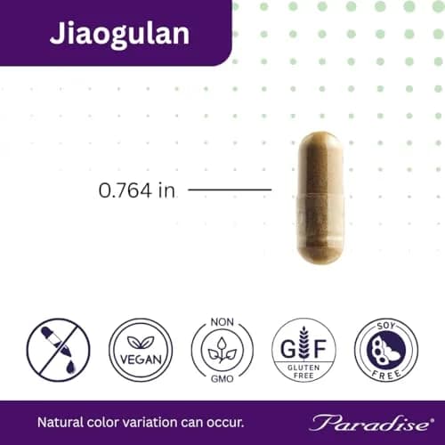 Paradise Herbs Jiaogulan Active Whole Spectrum 60 Caps | Adaptogenic Herb for Vitality & Longevity thumbnail 3