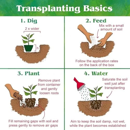 Down To Earth All Natural Fertilizers Organic Acid Mix 25 lb | Acid-Loving Plant Fertilizer thumbnail 4
