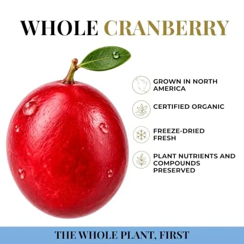 Eclectic Herb Cranberry Capsules 90 CT Urinary Tract Support | Organic, Fresh & Supportive (115c) thumbnail 5