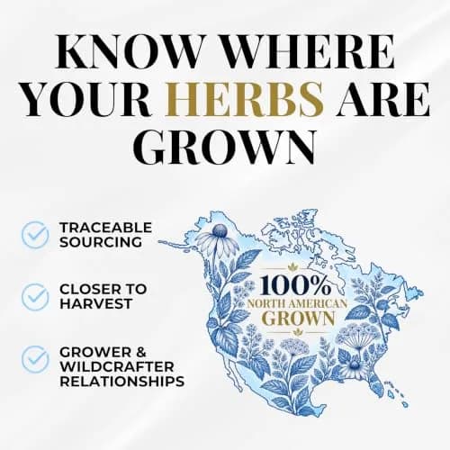 Eclectic Herb Cranberry Capsules 90 CT Urinary Tract Support | Organic, Fresh & Supportive (115c) thumbnail 3