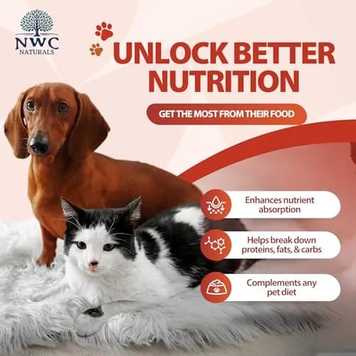 NWC Naturals Total-Zymes Digestive Enzymes for Dogs and Cats 8 oz. Powder | Broad-Spectrum Animal Digestive Support thumbnail 3