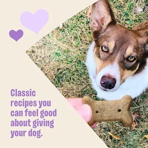 Old Mother Hubbard Classic Original Mix Dog Biscuits | Natural Small Treats, 3.8 lb Bag thumbnail 4