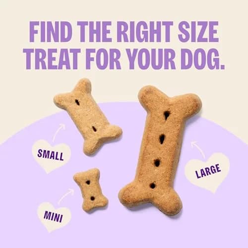 Old Mother Hubbard Classic Original Mix Dog Biscuits | Natural Small Treats, 3.8 lb Bag thumbnail 5
