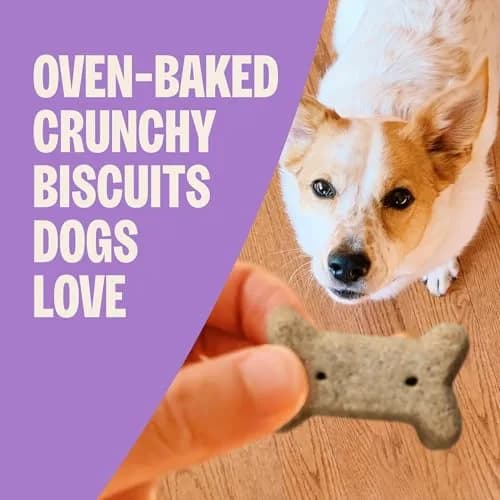 Old Mother Hubbard Classic Original Mix Dog Biscuits | Natural Small Treats, 3.8 lb Bag thumbnail 2