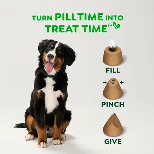 Greenies Pill Pockets Small Dog Treats, Chicken Flavor, 3.2 oz | Vet-Recommended Pill Concealer for Dogs thumbnail 7