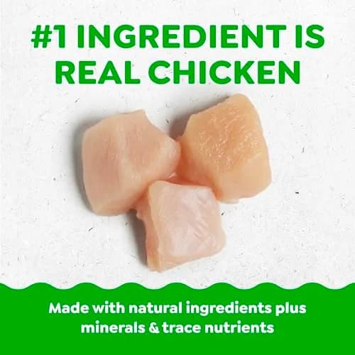 Greenies Pill Pockets Small Dog Treats, Chicken Flavor, 3.2 oz | Vet-Recommended Pill Concealer for Dogs thumbnail 3