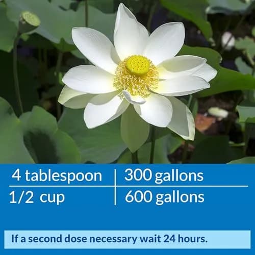 API Pond ACCU-Clear Water Clarifier 946ml (32 fl oz) | Clears Cloudy Water & Improves Filter Efficiency thumbnail 6