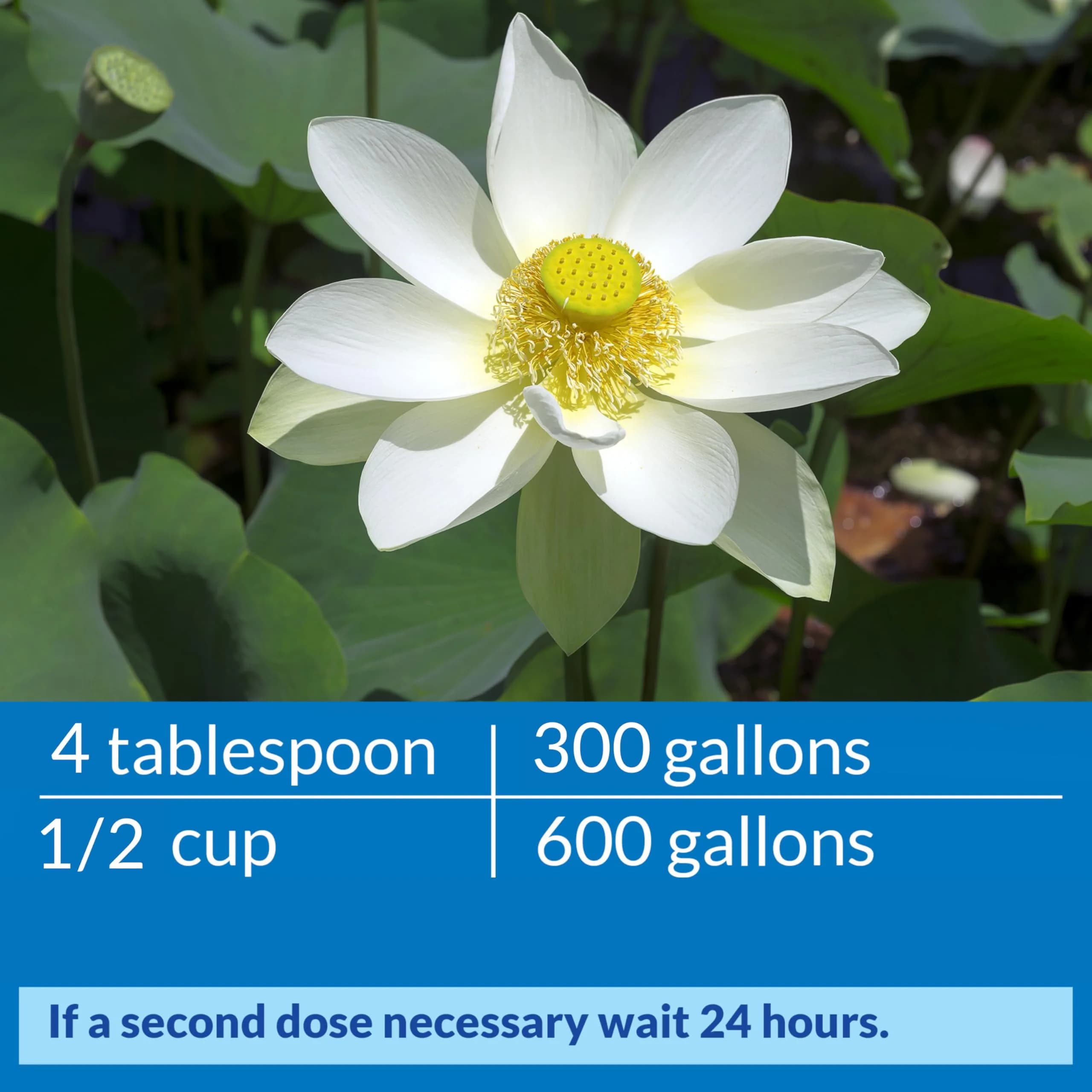 API Pond ACCU-Clear Water Clarifier 946ml (32 fl oz) | Clears Cloudy Water & Improves Filter Efficiency - view 6
