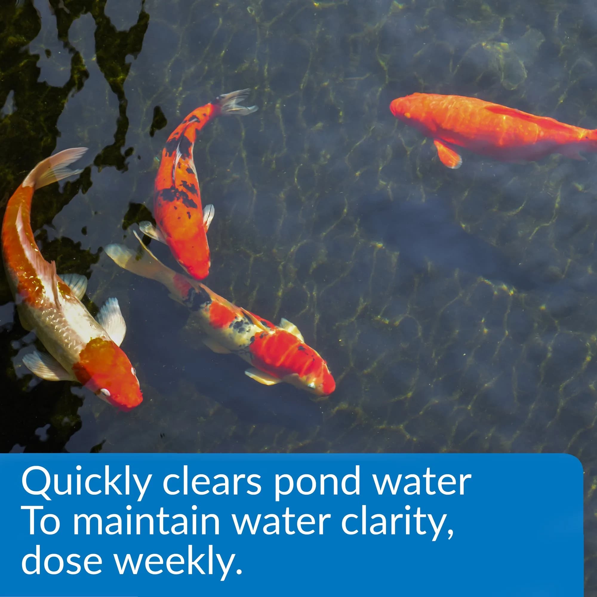 API Pond ACCU-Clear Water Clarifier 946ml (32 fl oz) | Clears Cloudy Water & Improves Filter Efficiency - view 2