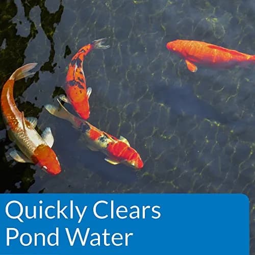 API Pond ACCU-Clear Water Clarifier 946ml (32 fl oz) | Clears Cloudy Water & Improves Filter Efficiency thumbnail 3