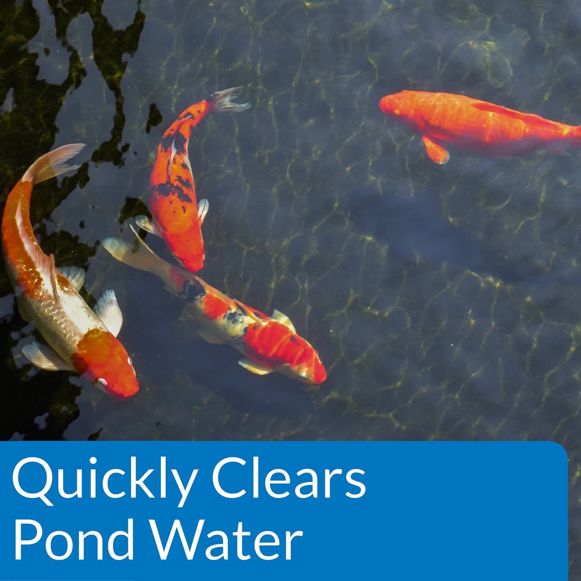 API Pond ACCU-Clear Water Clarifier 946ml (32 fl oz) | Clears Cloudy Water & Improves Filter Efficiency - view 3