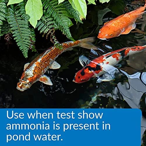 API Pond Ammo-Lock Ammonia Detoxifier for Ponds 473ml (16 Fl Oz) | Natural Active Ingredients thumbnail 2