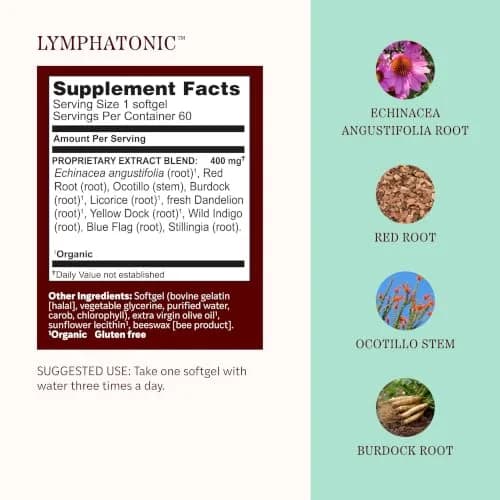 Herbs Etc. Lymphatonic Sg, 60 CT | Herbal Support for Lymph Circulation & Detox thumbnail 4