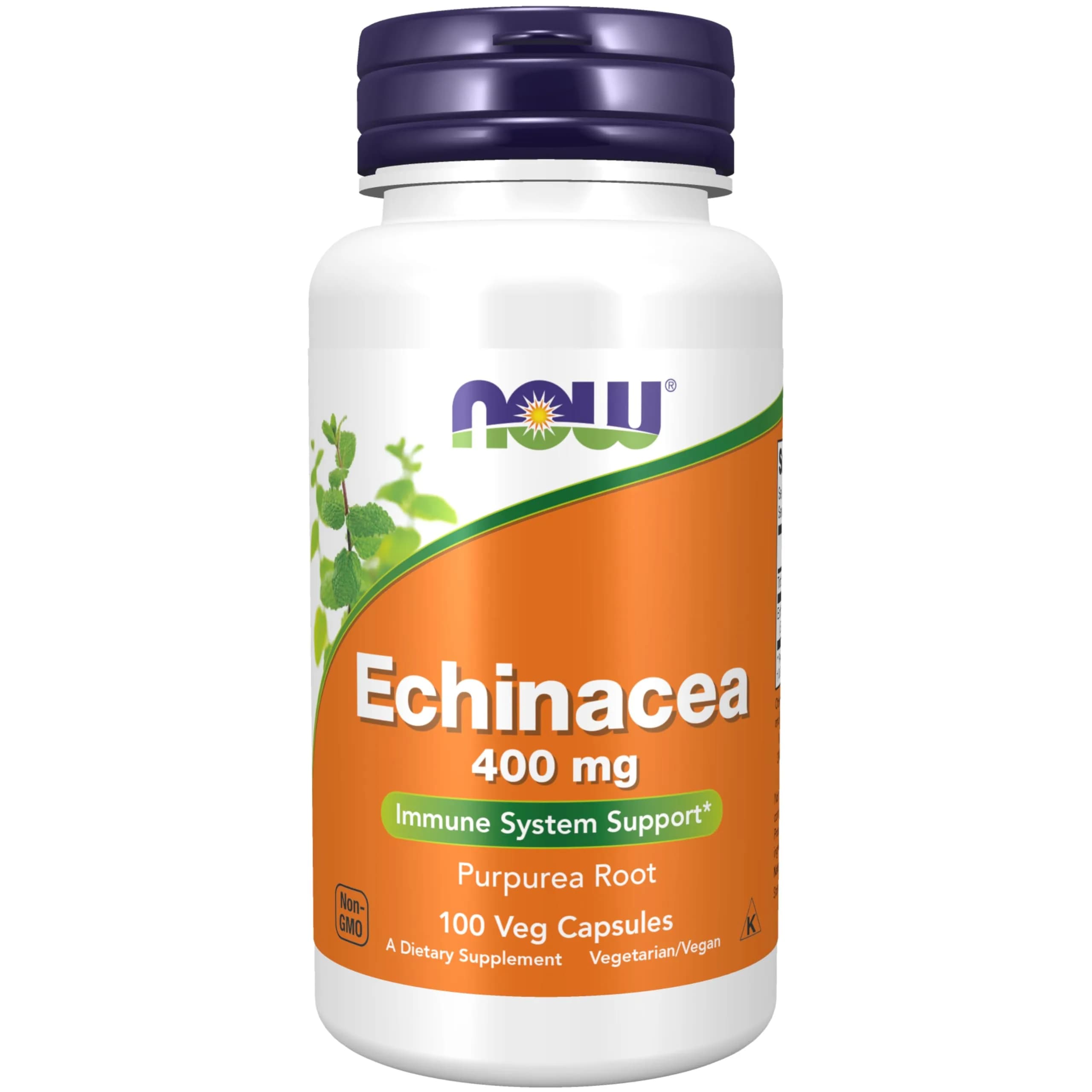 NOW Supplements Echinacea 400 mg | Immune Support, 100 Veg Caps, USA Import