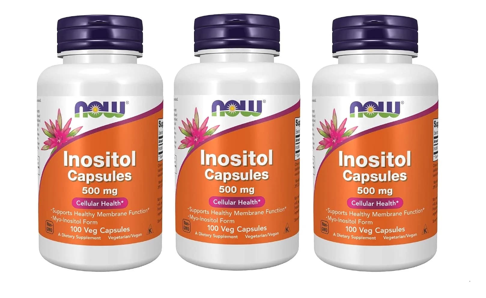 NOW Foods Inositol 500 mg 100 Veg Capsules | Supports Cellular Health & Membrane Function — Red