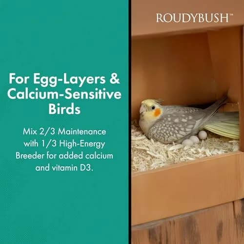 RoudyBush Daily Maintenance Bird Food Mini Pellets 12.03 kg (25 lb) | Scientifically Formulated Avian Nutrition thumbnail 4