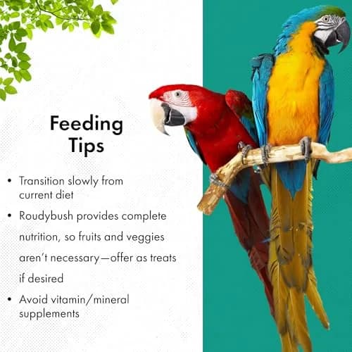 RoudyBush Daily Maintenance Bird Food Mini Pellets 12.03 kg (25 lb) | Scientifically Formulated Avian Nutrition thumbnail 6