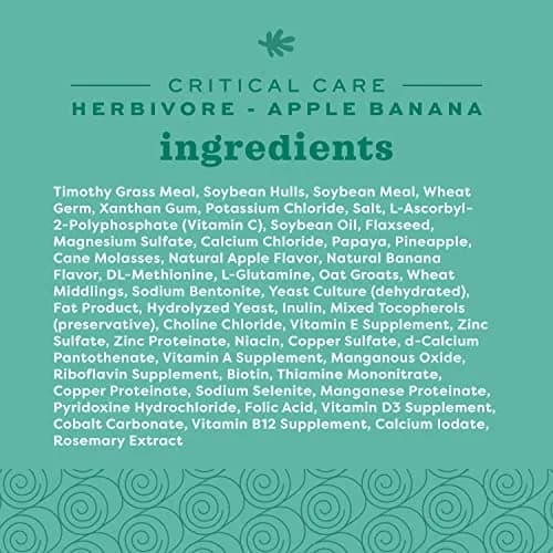 Oxbow Critical Care Herbivore Apple Banana 141 g (4.97 oz) | Veterinary Formula for Small Herbivores thumbnail 5