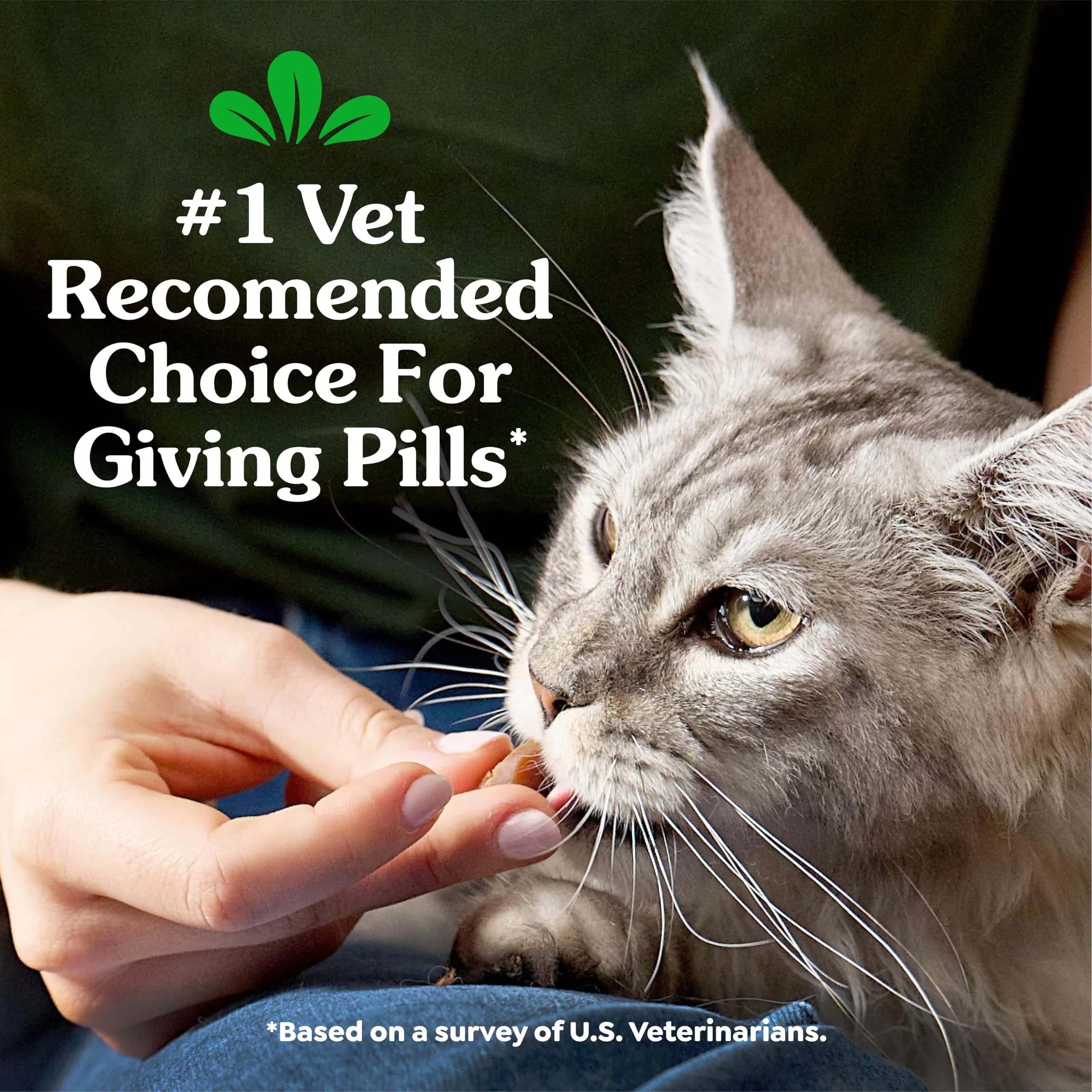 Greenies Feline Pill Pockets Soft Cat Treats, Chicken Flavor, 45 Count | Vet-Recommended Pill Hiding Treat - view 3