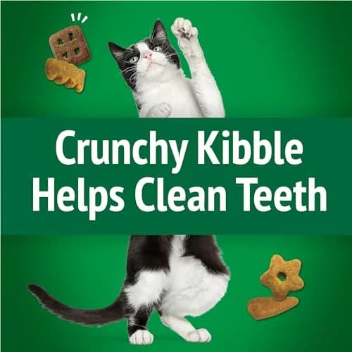 Friskies Purina Party Mix Picnic Crunch Cat Treats 2.1 oz (10 Pack) | Crunchy, Real Chicken & Flavorful thumbnail 5