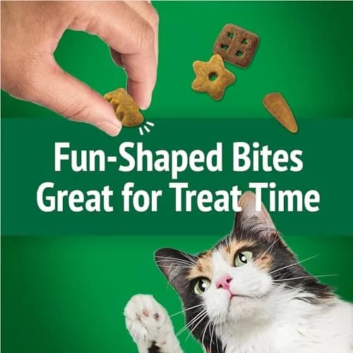 Friskies Purina Party Mix Picnic Crunch Cat Treats 2.1 oz (10 Pack) | Crunchy, Real Chicken & Flavorful thumbnail 9