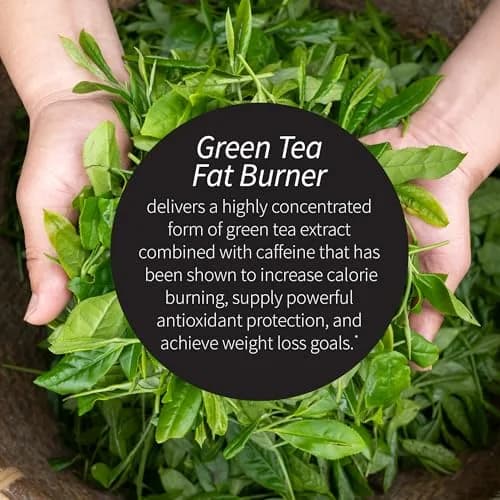 Applied Nutrition Green Tea Fat Burner Metabolism Support 30 Count | Liquid Soft-Gels for Energy & Fat Oxidation thumbnail 3