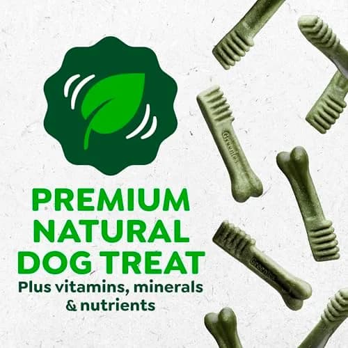 Greenies Teenie Original Natural Dental Dog Treats, Chicken, 96 Count (27 oz / 0.77 kg) | Veterinarian-Recommended for Small Dogs 5-15 lbs thumbnail 6