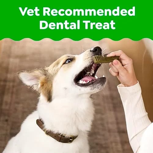 Greenies Teenie Original Natural Dental Dog Treats, Chicken, 65 Count (18 oz / 510 g) | Veterinarian-Recommended Dental Care for Dogs 5-15 lbs - view 2