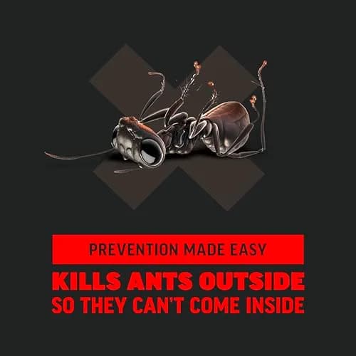 Amdro Ant Killer for Outdoor Home Perimeter Granules 12 Oz (340g) | Kills 25 Ant Species thumbnail 3