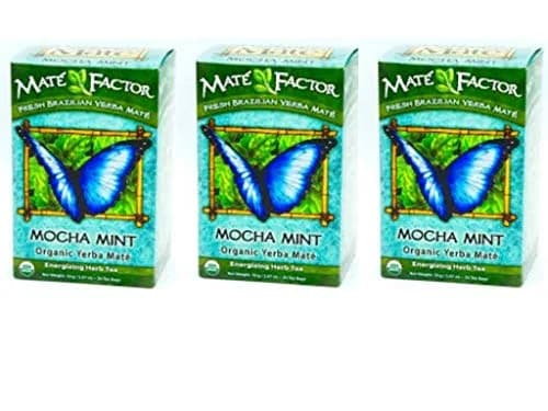 Maté Factor Yerba Mate Mocha Mint Tea | Organic, Energizing, 20 Tea Bags (Pack of 3) thumbnail 1