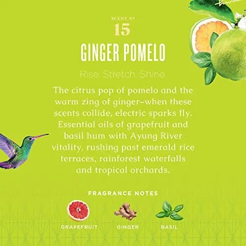 Caldrea Multi-surface Countertop Spray Cleaner Ginger Pomelo Scent 473ml (16 Fl Oz) | Plant-Based Odor Eliminator thumbnail 2