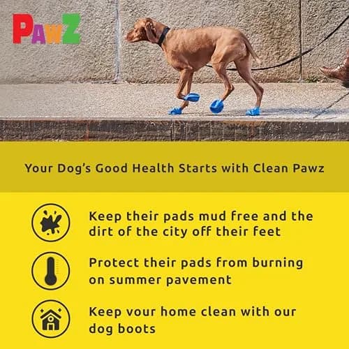 Protex PawZ Rubber Dog Boots for Small Paws | All-Weather Waterproof, Anti-Slip, XX-Small (1"-1.5") Pack of 12 thumbnail 5