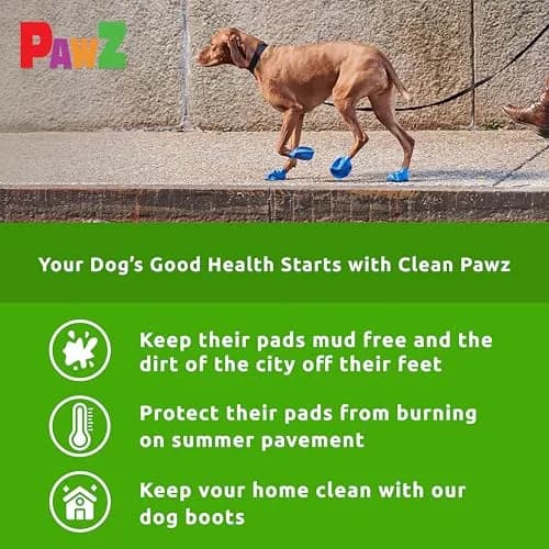 PawZ Rubber Dog Boots - Waterproof Non-Slip Dog Shoes for Hot Pavement, Tiny Size (12-Pack) thumbnail 5