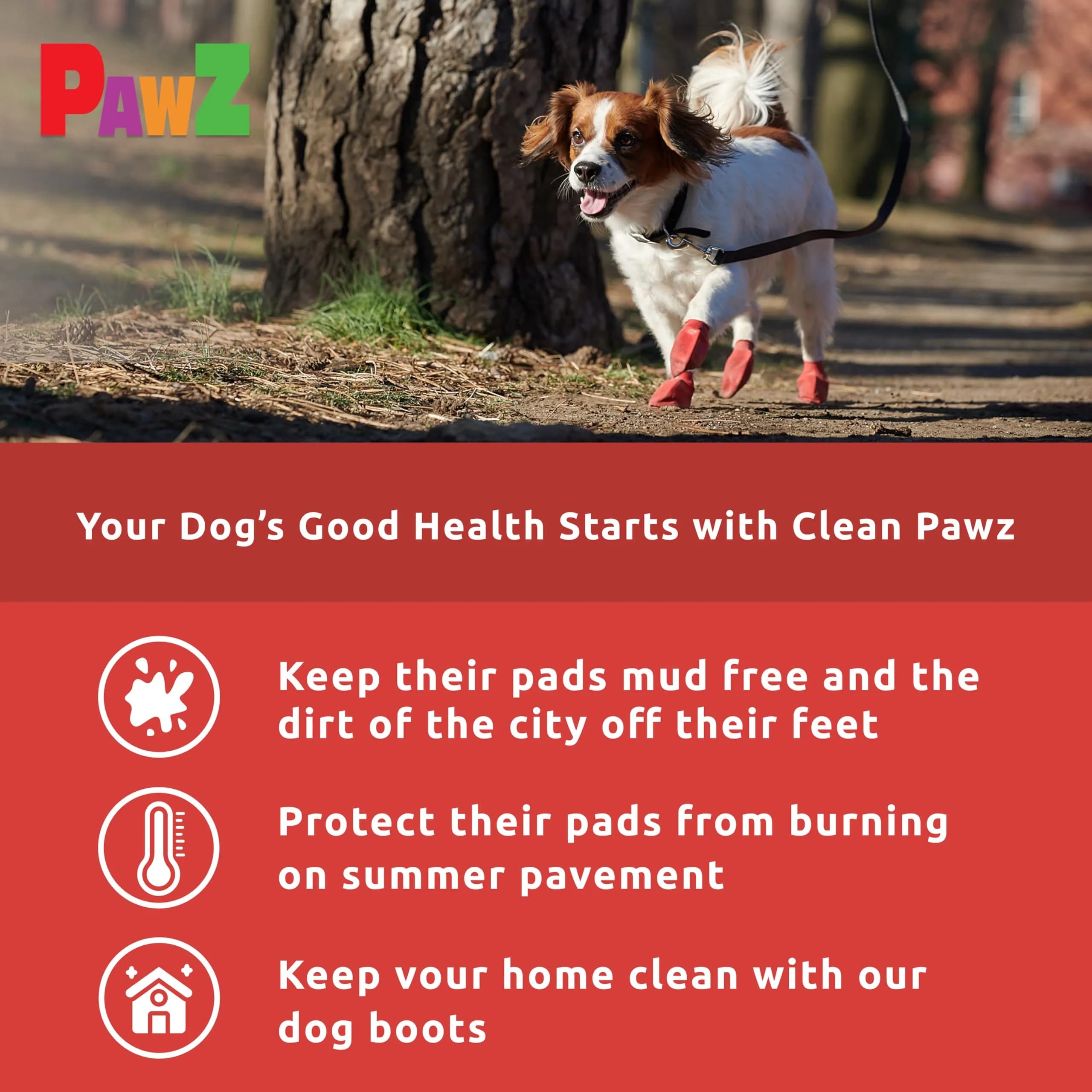 Protex PawZ Rubber Dog Boots Waterproof Non-Slip 12 Pack | All-Weather Paw Protection thumbnail 5
