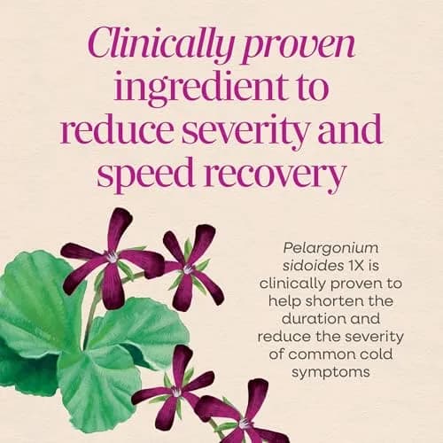 Nature's Way Umcka Cold & Flu Relief FastActives Berry Powder 10 Packets | Homeopathic Multi-Symptom Relief thumbnail 4