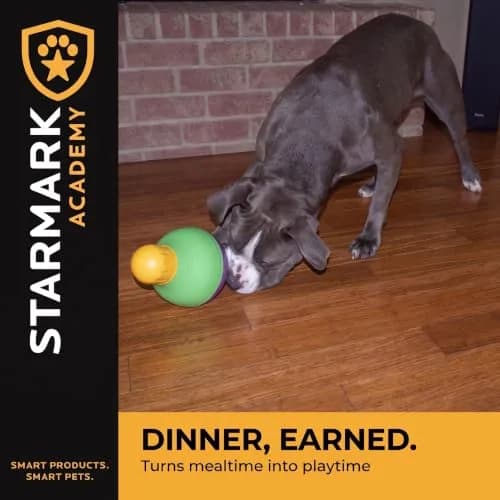 Starmark Treat Dispensing Bob-A-Lot Large Dog Interactive Feeder Toy | Adjustable Food Flow & Wobbling Fun thumbnail 6