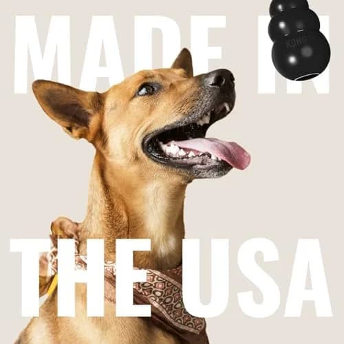 KONG Extreme Dog Toy, Durable Natural Rubber Chew, for Small Dogs | Unmatched Strength & Engagement thumbnail 7