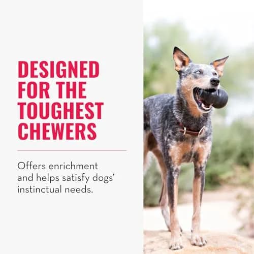 KONG Extreme Dog Toy, Durable Natural Rubber Chew, for Small Dogs | Unmatched Strength & Engagement thumbnail 3