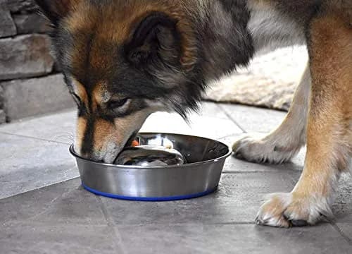 OurPets DuraPet Slow Feed Premium Stainless Steel Bowl (Heavyweight Durable Stainless Steel Bowls, Dog Food Bowl, and Dog Water Bowl) Great Alternative to Snuffle Mat for Dogs-Medium thumbnail 5